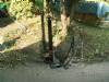 Sliding Gates