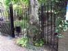 Swing Gates