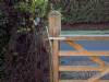 Gate Automation