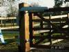 Gate Automation