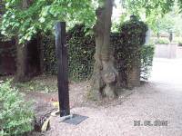 Swing Gates - project portfolio 55