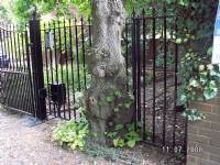 Swing Gates - project portfolio 55