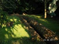Swing Gates - project portfolio 59