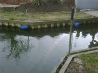 Swing Gates - project portfolio 60