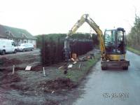 Swing Gates - project portfolio 67