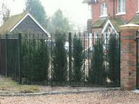 Swing Gates - project portfolio 67