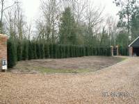 Swing Gates - project portfolio 67